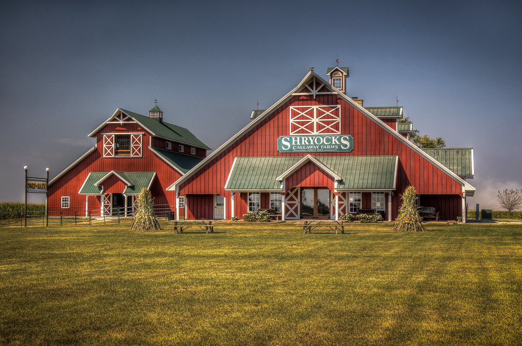 Shryock Callaway Farms